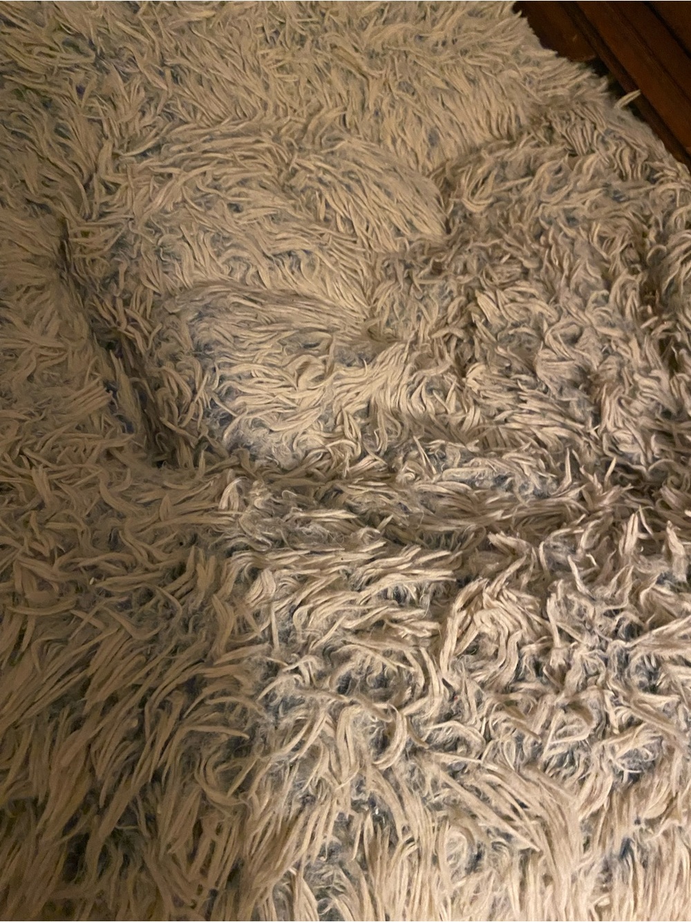 Fluffy Dog Bed 🐾